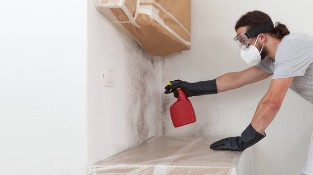 Professional Mold Remediation technician working in Port Jefferson, NY