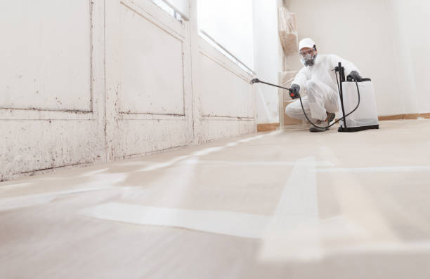 24/7 Emergency Mold Remediation experts in Port Jefferson, NY